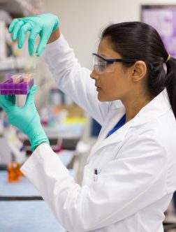 Patient blood sample collection for lab testing